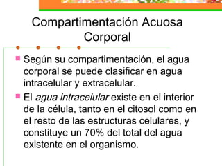 Compartimentación Acuosa
            Corporal
 Según su compartimentación, el agua
  corporal se puede clasificar en agua
  intracelular y extracelular.
 El agua intracelular existe en el interior
  de la célula, tanto en el citosol como en
  el resto de las estructuras celulares, y
  constituye un 70% del total del agua
  existente en el organismo.
 