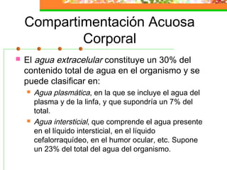 Compartimentación Acuosa
            Corporal
   El agua extracelular constituye un 30% del
    contenido total de agua en el organismo y se
    puede clasificar en:
       Agua plasmática, en la que se incluye el agua del
        plasma y de la linfa, y que supondría un 7% del
        total.
       Agua intersticial, que comprende el agua presente
        en el líquido intersticial, en el líquido
        cefalorraquídeo, en el humor ocular, etc. Supone
        un 23% del total del agua del organismo.
 