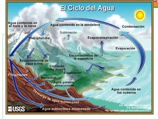 Clase agua
