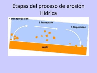 Etapas del proceso de erosión
Hidrica
1 Desagregación
2 Transporte
3 Deposición
suelo
 