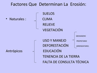 Factores Que Determinan La Erosión:
SUELOS
• Naturales : CLIMA
RELIEVE
VEGETACIÓN
MEDIANERO
USO Y MANEJO PROPIETARIO
DEFORESTACIÓN ARRENDATARIO.
Antrópicos EDUCACIÓN
TENENCIA DE LA TIERRA
FALTA DE CONSULTA TÉCNICA
 