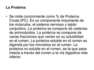 La Proteína Se mide comúnmente como % de Proteína Cruda (PC). Es un componente importante de los músculos, el sistema nervioso y tejido conjuntivo. La proteína se compone de cadenas de aminoácidos. La proteína se compone de varias fracciones que varían en su solubilidad en el rumen. La proteína soluble en el rumen es digerida por los microbios en el rumen. La proteína no soluble en el rumen, es la que pasa intacta a través del rumen a la vía digestiva más inferior.  