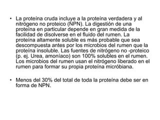 La proteína cruda incluye a la proteína verdadera y al nitrógeno no proteico (NPN). La digestión de una proteína en particular depende en gran medida de la facilidad de disolverse en el fluido del rumen. La proteína altamente soluble es más probable que sea descompuesta antes por los microbios del rumen que la proteína insoluble. Las fuentes de nitrógeno no -proteico (p. ej. Urea, amoníaco) son 100% solubles en el rumen. Los microbios del rumen usan el nitrógeno liberado en el rumen para formar su propia proteína micróbiana. Menos del 30% del total de toda la proteína debe ser en forma de NPN.  