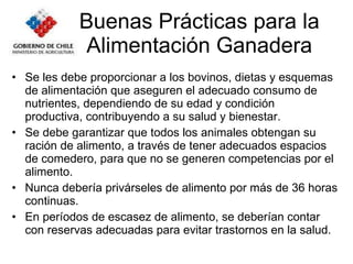 Buenas Prácticas para la Alimentación Ganadera Se les debe proporcionar a los bovinos, dietas y esquemas de alimentación que aseguren el adecuado consumo de nutrientes, dependiendo de su edad y condición productiva, contribuyendo a su salud y bienestar. Se debe garantizar que todos los animales obtengan su ración de alimento, a través de tener adecuados espacios de comedero, para que no se generen competencias por el alimento. Nunca debería privárseles de alimento por más de 36 horas continuas. En períodos de escasez de alimento, se deberían contar con reservas adecuadas para evitar trastornos en la salud. 