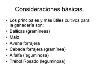 Consideraciones básicas. Los principales y más útiles cultivos para la ganadería son: Ballicas (gramíneas) Maíz Avena forrajera Cebada forrajera (gramínea) Alfalfa (leguminosa) Trébol Rosado (leguminosa) 