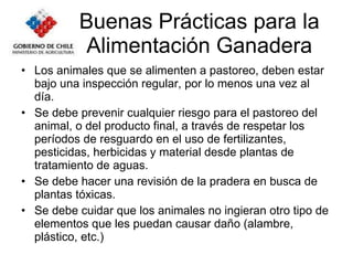 Buenas Prácticas para la Alimentación Ganadera Los animales que se alimenten a pastoreo, deben estar bajo una inspección regular, por lo menos una vez al día.  Se debe prevenir cualquier riesgo para el pastoreo del animal, o del producto final, a través de respetar los períodos de resguardo en el uso de fertilizantes, pesticidas, herbicidas y material desde plantas de tratamiento de aguas. Se debe hacer una revisión de la pradera en busca de plantas tóxicas. Se debe cuidar que los animales no ingieran otro tipo de elementos que les puedan causar daño (alambre, plástico, etc.) 
