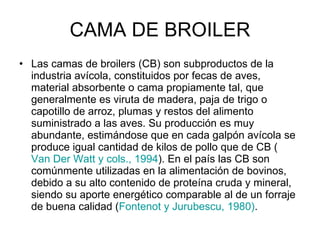 CAMA DE BROILER Las camas de broilers (CB) son subproductos de la industria avícola, constituidos por fecas de aves, material absorbente o cama propiamente tal, que generalmente es viruta de madera, paja de trigo o capotillo de arroz, plumas y restos del alimento suministrado a las aves. Su producción es muy abundante, estimándose que en cada galpón avícola se produce igual cantidad de kilos de pollo que de CB ( Van Der Watt y cols., 1994 ). En el país las CB son comúnmente utilizadas en la alimentación de bovinos, debido a su alto contenido de proteína cruda y mineral, siendo su aporte energético comparable al de un forraje de buena calidad ( Fontenot y Jurubescu, 1980) .  