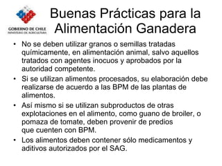 Buenas Prácticas para la Alimentación Ganadera No se deben utilizar granos o semillas tratadas químicamente, en alimentación animal, salvo aquellos tratados con agentes inocuos y aprobados por la autoridad competente. Si se utilizan alimentos procesados, su elaboración debe realizarse de acuerdo a las BPM de las plantas de alimentos. Así mismo si se utilizan subproductos de otras explotaciones en el alimento, como guano de broiler, o pomaza de tomate, deben provenir de predios que cuenten con BPM.  Los alimentos deben contener sólo medicamentos y aditivos autorizados por el SAG. 