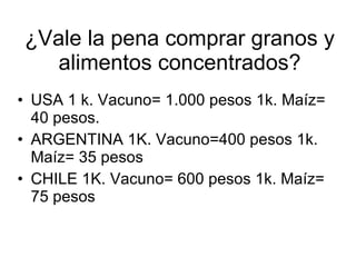 ¿Vale la pena comprar granos y alimentos concentrados? USA 1 k. Vacuno= 1.000 pesos 1k. Maíz= 40 pesos. ARGENTINA 1K. Vacuno=400 pesos 1k. Maíz= 35 pesos CHILE 1K. Vacuno= 600 pesos 1k. Maíz= 75 pesos  