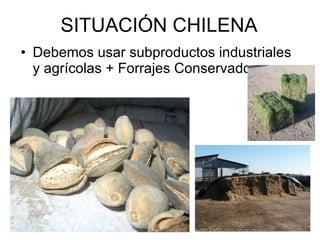 SITUACIÓN CHILENA Debemos usar subproductos industriales y agrícolas + Forrajes Conservados 