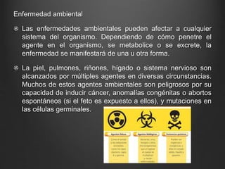 Enfermedad ambiental
Las enfermedades ambientales pueden afectar a cualquier
sistema del organismo. Dependiendo de cómo penetre el
agente en el organismo, se metabolice o se excrete, la
enfermedad se manifestará de una u otra forma.
La piel, pulmones, riñones, hígado o sistema nervioso son
alcanzados por múltiples agentes en diversas circunstancias.
Muchos de estos agentes ambientales son peligrosos por su
capacidad de inducir cáncer, anomalías congénitas o abortos
espontáneos (si el feto es expuesto a ellos), y mutaciones en
las células germinales.
 