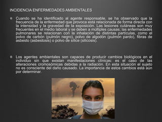 INCIDENCIA ENFERMEDADES AMBIENTALES
Cuando se ha identificado al agente responsable, se ha observado que la
frecuencia de la enfermedad que provoca está relacionada de forma directa con
la intensidad y la gravedad de la exposición. Las lesiones cutáneas son muy
frecuentes en el medio laboral y se deben a múltiples causas; las enfermedades
pulmonares se relacionan con la inhalación de distintas partículas, como el
polvo de carbón (pulmón negro), polvo de algodón (pulmón pardo), fibras de
asbesto (asbestosis) o polvo de sílice (silicosis).
Los agentes ambientales son capaces de producir cambios biológicos en el
individuo sin que existan manifestaciones clínicas: es el caso de las
alteraciones cromosómicas debidas a la radiación. En esta situación el sujeto
no es consciente del daño causado. La importancia de estos cambios está aún
por determinar.
 