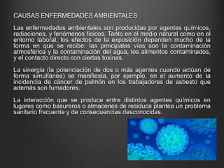 CAUSAS ENFERMEDADES AMBIENTALES
Las enfermedades ambientales son producidas por agentes químicos,
radiaciones, y fenómenos físicos. Tanto en el medio natural como en el
entorno laboral, los efectos de la exposición dependen mucho de la
forma en que se recibe: las principales vías son la contaminación
atmosférica y la contaminación del agua, los alimentos contaminados,
y el contacto directo con ciertas toxinas.
La sinergia (la potenciación de dos o más agentes cuando actúan de
forma simultánea) se manifiesta, por ejemplo, en el aumento de la
incidencia de cáncer de pulmón en los trabajadores de asbesto que
además son fumadores.
La interacción que se produce entre distintos agentes químicos en
lugares como basureros o almacenes de residuos plantea un problema
sanitario frecuente y de consecuencias desconocidas.
 