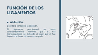 FUNCIÓN DE LOS
LIGAMENTOS
■ Abducción:
Sucede lo contrario a la aducción.
El ligamento pubofemoral se tensa
considerablemente mientras que el haz
iliipretrocantereo se distiende al igual que el haz
iliopretrocantiano, pero en menor grado.
 