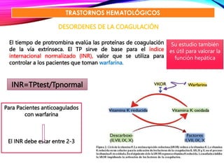 clase analisis e interpretación de resultados de laboratorio-1.pptx