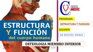 DR MAYCOL ROQUE
PROGRAMA:
DOCENTE
 