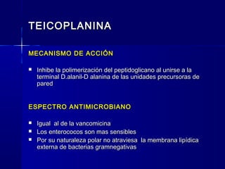 TEICOPLANINATEICOPLANINA
MECANISMO DE ACCIÓNMECANISMO DE ACCIÓN
 Inhibe la polimerización del peptidoglicano al unirse a laInhibe la polimerización del peptidoglicano al unirse a la
terminal D.alanil-D alanina de las unidades precursoras determinal D.alanil-D alanina de las unidades precursoras de
paredpared
ESPECTRO ANTIMICROBIANOESPECTRO ANTIMICROBIANO
 Igual al de la vancomicinaIgual al de la vancomicina
 Los enterococos son mas sensiblesLos enterococos son mas sensibles
 Por su naturaleza polar no atraviesa la membrana lipídicaPor su naturaleza polar no atraviesa la membrana lipídica
externa de bacterias gramnegativasexterna de bacterias gramnegativas
 