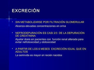 EXCRECIÓNEXCRECIÓN
 SIN METABOLIZARSE POR FILTRACIÓN GLOMERULARSIN METABOLIZARSE POR FILTRACIÓN GLOMERULAR
Alcanza elevadas concentraciones en orinaAlcanza elevadas concentraciones en orina
 NEFRODEPURACIÓN ES CASI 2/3 DE LA DEPURACIÓNNEFRODEPURACIÓN ES CASI 2/3 DE LA DEPURACIÓN
DE CREATININADE CREATININA
Ajustar dosis en pacientes con función renal alterada paraAjustar dosis en pacientes con función renal alterada para
evitar nefrotoxicidad y ototoxicidadevitar nefrotoxicidad y ototoxicidad
 A PARTIR DE LOS 6 MESES EXCRECIÓN IGUAL QUE ENA PARTIR DE LOS 6 MESES EXCRECIÓN IGUAL QUE EN
ADULTOSADULTOS
La semivida es mayor en recién nacidosLa semivida es mayor en recién nacidos
 