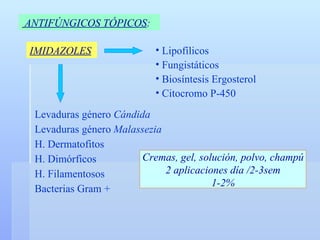 ANTIFÚNGICOS TÓPICOS :   Lipofílicos Fungistáticos  Biosíntesis Ergosterol Citocromo P-450 IMIDAZOLES Levaduras género  Cándida Levaduras género  Malassezia H. Dermatofitos H. Dimórficos H. Filamentosos Bacterias Gram + Cremas, gel, solución, polvo, champú 2 aplicaciones día /2-3sem 1-2% 