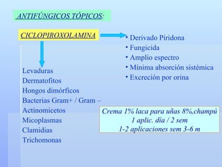 ANTIFÚNGICOS TÓPICOS :   CICLOPIROXOLAMINA Derivado Piridona Fungicida Amplio espectro Mínima absorción sistémica Excreción por orina  Levaduras Dermatofitos Hongos dimórficos Bacterias Gram+ / Gram – Actinomicetos Micoplasmas Clamidias Trichomonas Crema 1% laca para uñas 8%,champú 1 aplic. día / 2 sem 1-2 aplicaciones sem 3-6 m 