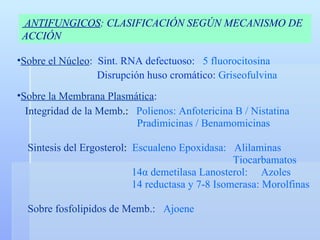 Sobre el Núcleo :   Sint. RNA defectuoso:  5 fluorocitosina   Disrupción huso cromático:  Griseofulvina  Sobre la Membrana Plasmática : Integridad de la Memb .:  Polienos:   Anfotericina B / Nistatina   Pradimicinas / Benamomicinas Sintesis del Ergosterol :  Escualeno Epoxidasa:  Alilaminas   Tiocarbamatos   14 α  demetilasa Lanosterol:  Azoles   14 reductasa y 7-8 Isomerasa: Morolfinas Sobre fosfolipidos de Memb.:   Ajoene ANTIFUNGICOS : CLASIFICACIÓN SEGÚN MECANISMO DE ACCIÓN 