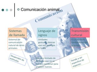 Comunicación animal. Sistemas de llamada Lenguaje de signos Transmisión cultural Despenden de estímulos Número límitado de llamadas que no se pueden combinar para producir nuevas. Tiende a ser específico de especies. Sistemas de comunicación natural de otros primates Unidades gestuales básicas que son análogas al habla Es un atributo fundamental del lenguaje 