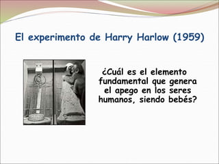 El experimento de Harry Harlow (1959)
¿Cuál es el elemento
fundamental que genera
el apego en los seres
humanos, siendo bebés?
 