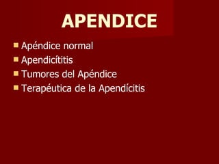 APENDICE ,[object Object],[object Object],[object Object],[object Object]