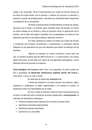 Cátedra de Biología de los Artrópodos 2010
10
miedo a ser devorado. Inicia el acercamiento por medio de tirones breves de
los hilos de la tela donde vive la hembra, a efectos de provocar su atención y
observar el grado de predisposición, actividad que desarrolla hasta asegurarse
la aceptación de su compañera.
Durante el apareamiento la haematodoca se llena de sangre,
haciendo que el bulbo y el émbolo sean evertidos fuera del alvéolo, el macho
se coloca debajo de la hembra y sitúa el prosoma hacia el opistosoma de la
hembra, allí el estilo del órgano copulador de los pedipalpos se inserta en las
aberturas que llevan a las espermatecas, liberando el semen.
En otras especies el cortejo se realiza por medio de danzas
y maniobras que incluyen movimientos y ondulaciones, o presentan colores
brillantes en los apéndices los que son elevados para llamar la atención de las
hembras.
Algunas se aparean en varias ocasiones y otras solo una
vez. La hembra ovipone más de 3000 huevos en 1 o varias tandas y los coloca
dentro del cocón, al que tejen por medio de sus glándulas sedísigenas, y tiene
diferente forma de acuerdo a la especie.
Ciclo biológico: los huevos miden 2mm, son pequeños, el corion puede ser
liso o granulado, el desarrollo embrionario empieza dentro del huevo y
varía entre 1 mes y un mes y medio.
En esta fase de desarrollo corional tiene:
1 diente de eclosión en la parte anterior del prosoma, patas,
quelíceros y pedipalpos no están segmentados y se adosan al cuerpo; el
opistosoma está muy desarrollado por el vitelo.
Al mes y medio el embrión rompe el corion permaneciendo en
el cocon, al salir del corion constituye el primer estado libre o extracorional, en
esta fase de desarrollo se distingue:
Prosoma doblado sobre opistosoma en forma de ángulo recto.
Apéndices levemente segmentados.
Hilanderas apenas esbozadas.
Quelíceros con uña doble.
 