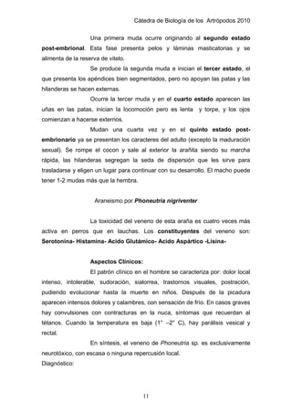 Cátedra de Biología de los Artrópodos 2010
11
Una primera muda ocurre originando al segundo estado
post-embrional. Esta fase presenta pelos y láminas masticatorias y se
alimenta de la reserva de vitelo.
Se produce la segunda muda e inician el tercer estado, el
que presenta los apéndices bien segmentados, pero no apoyan las patas y las
hilanderas se hacen externas.
Ocurre la tercer muda y en el cuarto estado aparecen las
uñas en las patas, inician la locomoción pero es lenta y torpe, y los ojos
comienzan a hacerse externos.
Mudan una cuarta vez y en el quinto estado post-
embrionario ya se presentan los caracteres del adulto (excepto la maduración
sexual). Se rompe el cocon y sale al exterior la arañita siendo su marcha
rápida, las hilanderas segregan la seda de dispersión que les sirve para
trasladarse y eligen un lugar para continuar con su desarrollo. El macho puede
tener 1-2 mudas más que la hembra.
Araneismo por Phoneutria nigriventer
La toxicidad del veneno de esta araña es cuatro veces más
activa en perros que en lauchas. Los constituyentes del veneno son:
Serotonina- Histamina- Acido Glutámico- Acido Aspártico -Lisina-
Aspectos Clínicos:
El patrón clínico en el hombre se caracteriza por: dolor local
intenso, intolerable, sudoración, sialorrea, trastornos visuales, postración,
pudiendo evolucionar hasta la muerte en niños. Después de la picadura
aparecen intensos dolores y calambres, con sensación de frío. En casos graves
hay convulsiones con contracturas en la nuca, síntomas que recuerdan al
tétanos. Cuando la temperatura es baja (1° –2° C), hay parálisis vesical y
rectal.
En síntesis, el veneno de Phoneutria sp. es exclusivamente
neurotóxico, con escasa o ninguna repercusión local.
Diagnóstico:
 