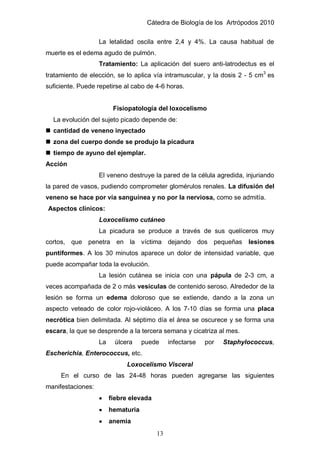 Cátedra de Biología de los Artrópodos 2010
13
La letalidad oscila entre 2,4 y 4%. La causa habitual de
muerte es el edema agudo de pulmón.
Tratamiento: La aplicación del suero anti-latrodectus es el
tratamiento de elección, se lo aplica vía intramuscular, y la dosis 2 - 5 cm3
es
suficiente. Puede repetirse al cabo de 4-6 horas.
Fisiopatología del loxocelismo
La evolución del sujeto picado depende de:
 cantidad de veneno inyectado
 zona del cuerpo donde se produjo la picadura
 tiempo de ayuno del ejemplar.
Acción
El veneno destruye la pared de la célula agredida, injuriando
la pared de vasos, pudiendo comprometer glomérulos renales. La difusión del
veneno se hace por vía sanguínea y no por la nerviosa, como se admitía.
Aspectos clínicos:
Loxocelismo cutáneo
La picadura se produce a través de sus quelíceros muy
cortos, que penetra en la víctima dejando dos pequeñas lesiones
puntiformes. A los 30 minutos aparece un dolor de intensidad variable, que
puede acompañar toda la evolución.
La lesión cutánea se inicia con una pápula de 2-3 cm, a
veces acompañada de 2 o más vesículas de contenido seroso. Alrededor de la
lesión se forma un edema doloroso que se extiende, dando a la zona un
aspecto veteado de color rojo-violáceo. A los 7-10 días se forma una placa
necrótica bien delimitada. Al séptimo día el área se oscurece y se forma una
escara, la que se desprende a la tercera semana y cicatriza al mes.
La úlcera puede infectarse por Staphylococcus,
Escherichia, Enterococcus, etc.
Loxocelismo Visceral
En el curso de las 24-48 horas pueden agregarse las siguientes
manifestaciones:
fiebre elevada
hematuria
anemia
 