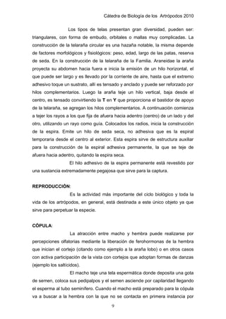 Cátedra de Biología de los Artrópodos 2010
9
Los tipos de telas presentan gran diversidad, pueden ser:
triangulares, con forma de embudo, orbitales o mallas muy complicadas. La
construcción de la telaraña circular es una hazaña notable, la misma depende
de factores morfológicos y fisiológicos: peso, edad, largo de las patas, reserva
de seda. En la construcción de la telaraña de la Familia. Araneidae la araña
proyecta su abdomen hacia fuera e inicia la emisión de un hilo horizontal, el
que puede ser largo y es llevado por la corriente de aire, hasta que el extremo
adhesivo toque un sustrato, allí es tensado y anclado y puede ser reforzado por
hilos complementarios. Luego la araña teje un hilo vertical, baja desde el
centro, es tensado convirtiendo la T en Y que proporciona el bastidor de apoyo
de la telaraña, se agregan los hilos complementarios. A continuación comienza
a tejer los rayos a los que fija de afuera hacia adentro (centro) de un lado y del
otro, utilizando un rayo como guía. Colocados los radios, inicia la construcción
de la espira. Emite un hilo de seda seca, no adhesiva que es la espiral
temporaria desde el centro al exterior. Esta espira sirve de estructura auxiliar
para la construcción de la espiral adhesiva permanente, la que se teje de
afuera hacia adentro, quitando la espira seca.
El hilo adhesivo de la espira permanente está revestido por
una sustancia extremadamente pegajosa que sirve para la captura.
REPRODUCCIÓN:
Es la actividad más importante del ciclo biológico y toda la
vida de los artrópodos, en general, está destinada a este único objeto ya que
sirve para perpetuar la especie.
CÓPULA:
La atracción entre macho y hembra puede realizarse por
percepciones olfatorias mediante la liberación de ferohormonas de la hembra
que inician el cortejo (citando como ejemplo a la araña lobo) o en otros casos
con activa participación de la vista con cortejos que adoptan formas de danzas
(ejemplo los saltícidos).
El macho teje una tela espermática donde deposita una gota
de semen, coloca sus pedipalpos y el semen asciende por capilaridad llegando
el esperma al tubo seminífero. Cuando el macho está preparado para la cópula
va a buscar a la hembra con la que no se contacta en primera instancia por
 