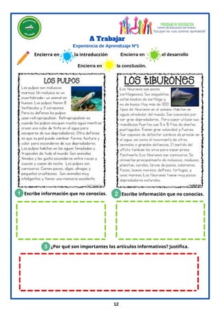 3. ¿Por qué son importantes los artículos informativos? Justifica.
Encierra en la introducción Encierra en el desarrollo
Encierra en la conclusión.
Escribe información que no conocías. Escribe información que no conocías.
12
Experiencia de Aprendizaje Nº1
A Trabajar
 