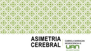 ASIMETRIA
CEREBRAL
GABRIELA BARRAGAN
NEUROCIENCIA III
 