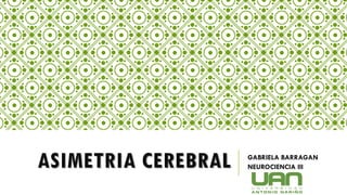 ASIMETRIA CEREBRAL GABRIELA BARRAGAN
NEUROCIENCIA III
 