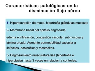 Características patológicas en la
disminución flujo aéreo
1-1- Hipersecreción de moco, hipertrofiaHipersecreción de moco, hipertrofia glándulas mucosasglándulas mucosas
2- Membrana basal del epitelio engrosada:2- Membrana basal del epitelio engrosada:
edema e infiltración, congestión vascularedema e infiltración, congestión vascular submucosa ysubmucosa y
lámina propia. Aumentolámina propia. Aumento permeabilidad vascular apermeabilidad vascular a
linfocitos,linfocitos, eosinófilos y mastocitos.eosinófilos y mastocitos.
3- Engrosamiento musculatura lisa (hipertrofia3- Engrosamiento musculatura lisa (hipertrofia ee
hiperplasia) hasta 3 veces en relación ahiperplasia) hasta 3 veces en relación a controles.controles.
 