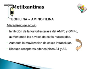  TEOFILINA – AMINOFILINA
Mecanismo de acción
 Inhibición de la fosfodiesterasa del AMPc y GMPc,
aumentando los niveles de estos nucleótidos.
 Aumenta la movilización de calcio intracelular.
 Bloquea receptores adenosínicos A1 y A2.
 