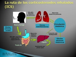 EfectosEfectos
adversosadversos
sistémicassistémicas
40%-90% deglutido
(reducido por
espaciadores)
Boca y faringe
Tracto GI
10%-60%
deposito
en pulmones
Pulmones
Absorción
desde los pulmones
CirculaciónCirculación
sistémicasistémica
Hígado
Fraccción oral
biodisponible
Absorción
desde el
intestino
Inactivación por
primer paso
EfectosEfectos
AntiinflamatoriosAntiinflamatorios
Allen DB, et al. J Allergy Clin Immunol.
2003;112(3 Suppl):S1-40.
EfectosEfectos
adversosadversos
localeslocales
 