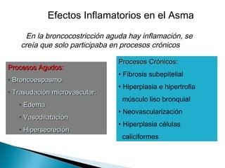 Efectos Inflamatorios en el Asma
EEn la broncocostricción aguda hay inflamación, se
creía que solo participaba en procesos crónicos
Procesos Agudos:Procesos Agudos:
• BroncoespasmoBroncoespasmo
• TrasudaciónTrasudación microvascular:microvascular:
• EEdemadema
• VasodilataciónVasodilatación
• HipersecreciónHipersecreción
Procesos Crónicos:Procesos Crónicos:
• Fibrosis subepitelial
• Hiperplasia e hipertrofia
músculo liso bronquial
• Neovascularización
• Hiperplasia células
caliciformes
 