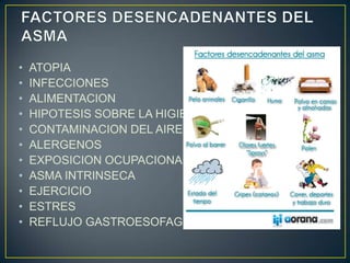 •   ATOPIA
•   INFECCIONES
•   ALIMENTACION
•   HIPOTESIS SOBRE LA HIGIENE
•   CONTAMINACION DEL AIRE
•   ALERGENOS
•   EXPOSICION OCUPACIONAL
•   ASMA INTRINSECA
•   EJERCICIO
•   ESTRES
•   REFLUJO GASTROESOFAGICO
 