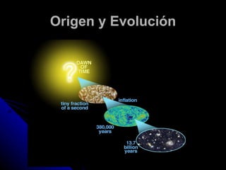 Origen y Evolución 