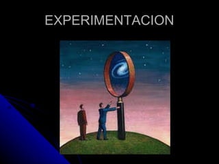 EXPERIMENTACION 