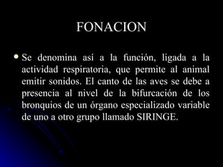 FONACION

   Se denomina así a la función, ligada a la
    actividad respiratoria, que permite al animal
    emitir sonidos. El canto de las aves se debe a
    presencia al nivel de la bifurcación de los
    bronquios de un órgano especializado variable
    de uno a otro grupo llamado SIRINGE.
 