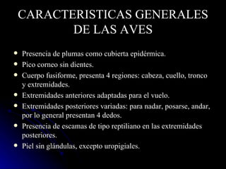 CARACTERISTICAS GENERALES
           DE LAS AVES
   Presencia de plumas como cubierta epidérmica.
   Pico corneo sin dientes.
   Cuerpo fusiforme, presenta 4 regiones: cabeza, cuello, tronco
    y extremidades.
   Extremidades anteriores adaptadas para el vuelo.
   Extremidades posteriores variadas: para nadar, posarse, andar,
    por lo general presentan 4 dedos.
   Presencia de escamas de tipo reptiliano en las extremidades
    posteriores.
   Piel sin glándulas, excepto uropigiales.
 