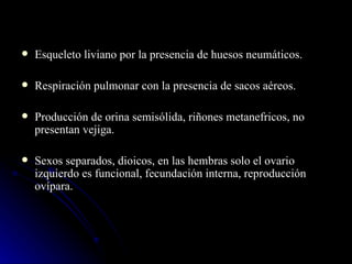    Esqueleto liviano por la presencia de huesos neumáticos.

   Respiración pulmonar con la presencia de sacos aéreos.

   Producción de orina semisólida, riñones metanefricos, no
    presentan vejiga.

   Sexos separados, dioicos, en las hembras solo el ovario
    izquierdo es funcional, fecundación interna, reproducción
    ovípara.
 