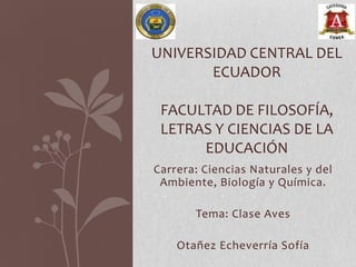 UNIVERSIDAD CENTRAL DEL
ECUADOR
FACULTAD DE FILOSOFÍA,
LETRAS Y CIENCIAS DE LA
EDUCACIÓN
Carrera: Ciencias Naturales y del
Ambiente, Biología y Química.
Tema: Clase Aves

Otañez Echeverría Sofía

 