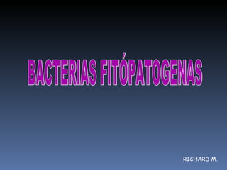 RICHARD M. BACTERIAS FITÓPATOGENAS 