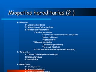 Miopatías hereditarias (2 )
2. Miotonias
2.1 Distrofia miotónica
2.2 Miopatía miotónica proximal
2.3 Miotonías no distróficas
* Parálisis periódicas
* Hipercaliémica/paramiotonia congénita
* Normocaliémica
* Hipocaliémica
* Miotonía congénita
* Dominante (Thomsen)
* Recesiva (Becker)
* Condrodistrofia miotónica (Schwartz-Jampel)
3. Congénitas
3.1 Central Core/ Hipertermia maligna
3.2 Dismadurativas
3.3 Nemalínica
4. Metabólicas
4.1 Glucogenosis
4.2 Miopatías lipídicas

 