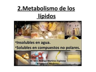 2.Metabolismo de los lípidos ,[object Object],[object Object],M. en C. Rodrigo Martínez Espinosa Bioquímica, Medicina. 