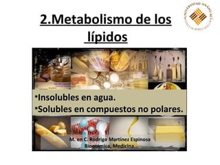 2.Metabolismo de los
       lípidos


•Insolubles en agua.
•Solubles en compuestos no polares.


        M. en C. Rodrigo Martínez Espinosa
              Bioquímica, Medicina.
 